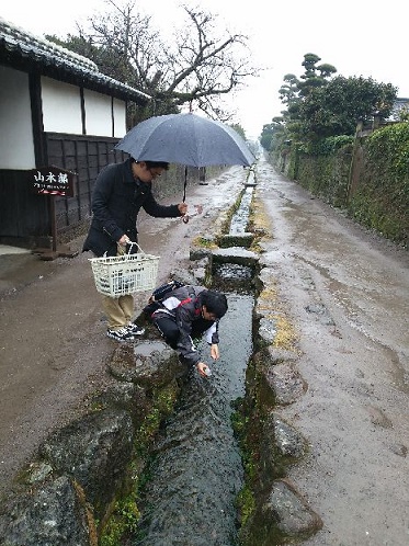 武家屋敷の水路