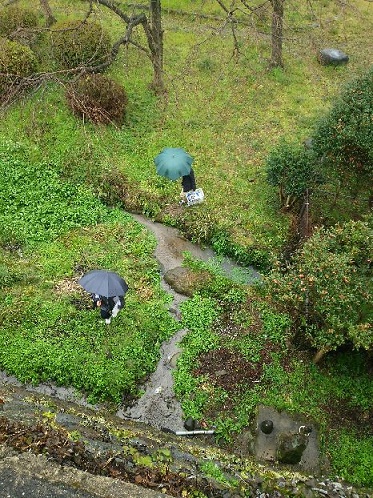 島原城のお堀の城壁から湧出