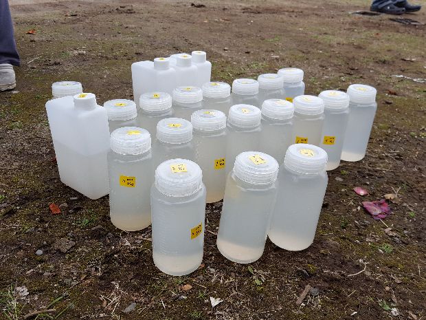 約45本(45m分)のサンプル採取!