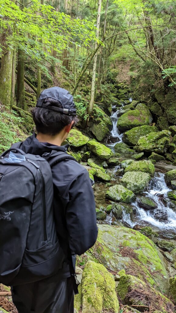 三重県の沢水