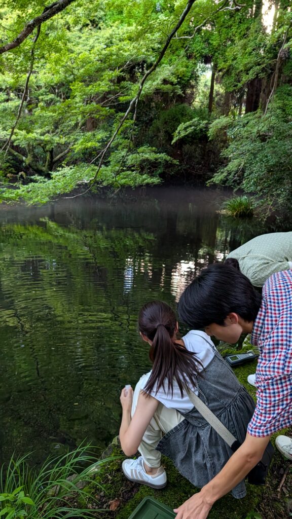 阿蘇カルデラ内の的石湧水