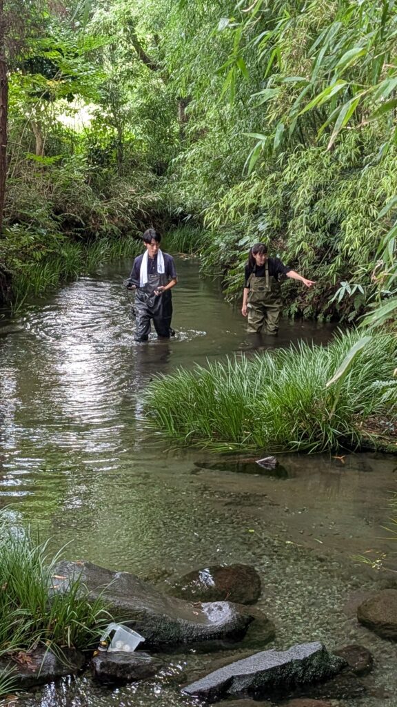 大きな湧水でも採水