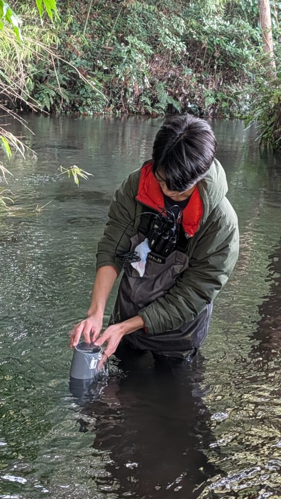 自噴する地下水を採水