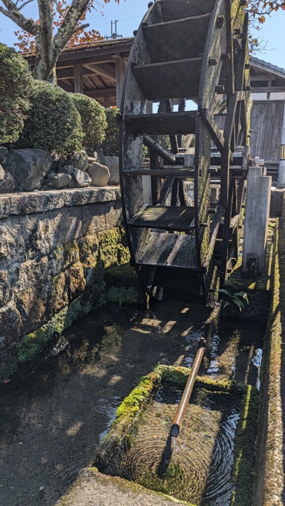 針江の生水